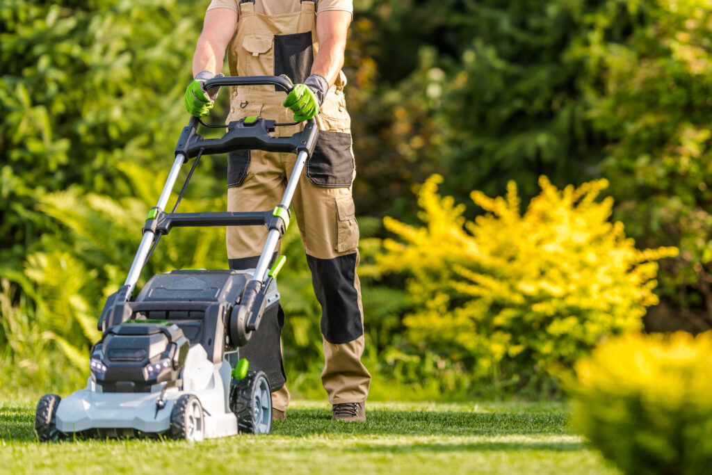 Electric Lawn Care